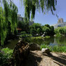Chinese Garden of Friendship