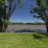 Murray River at Berri