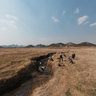 hfsd(曲靖沾益海峰湿地)