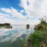 xihua Wetlands(昆明西华湿地公园)