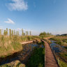 xihua Wetlands(昆明西华湿地公园)