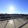 TOKYO SKYLINE a view from Mejiro forest
