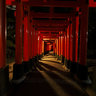 KYOTO Fushimi Inari Shrine in the Night 伏見稲荷