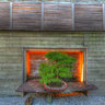 Jinshuei hot springs hotel Roof