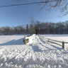 Oak Forest