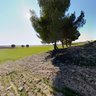 Tarde De Paseo