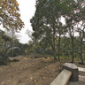 Wuhu Mt. Zheshan park - observation pavilion 