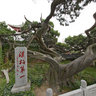 Tai Shan - Temple - the first Bo Han
