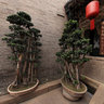 Shanxi Province, Qiao Family Courtyard - Family Temple