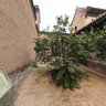 Shanxi Province, Qiao Family Courtyard - five branches-2