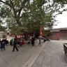 Zhengzhou City, the Temple - the main hall