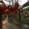 2012-03-chengdu-kam-11
