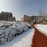 2012-3-18 sculpture park Snow