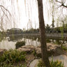 2012-03-chengdu-ancient-town-of-41