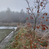 Winter in Bohemia-small ponds