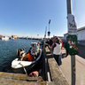 Selling Fish at Dragør Harbour