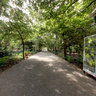 Company Gardens