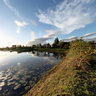 Fern Gully Lake