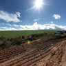 Overberg Road