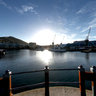 The Marina