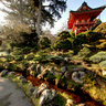 Japanese Tea Garden