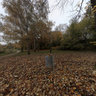 Herbstlaub