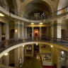 The Swedish Museum of Natural History