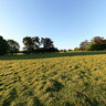Balloon Flight on a sunny day in East Sussex