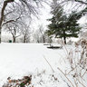 Lake Harriet - Woodridge, Illinois