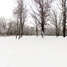 Greene Valley - Naperville, IL