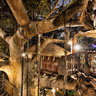 Welcome to my Treehouse