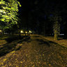 Central Park