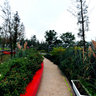 E120° Park（紫荆公园）037