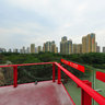 Qingfeng Park(虹道) 055