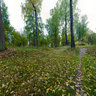 Barsky lake
