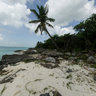 Isla Saona