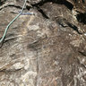 Pedra do Bau rock climbing in the route Normal