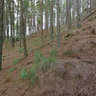 Mountain bike trail powered by Zoom Aventura in the Ecopark Pesca na Montanha