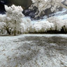 Wat Chang Rob, Kamphaeng Phet Historical Park, Near Infrared