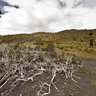 Torres Paine1