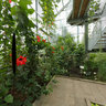 Ljubljana Botanical Gardens