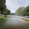 Orsera Camping, Vrsar Croatia