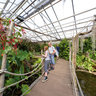 Butterfly House, Hagaparken