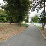 Parcul Bordei