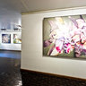 Seyhoun Gallery Sanaz Alavi Nasser Azizi Niloufar Hossein Sadaf Mortazavi 01