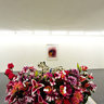 Etemad Gallery April 2012 Vahid Sharifian Flowars 02
