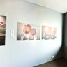 Fravahr Gallery April May 2012 Segment Group 01