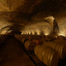 Wine Cellar - in the Middle - Barrique Barrels - Deidesheim - Palatine - German Wine Street