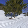 Aftersteg Ski Lift - Dachsrain - Black Forest - Germany