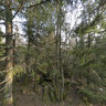Celtic Bowl - Yach - Valley Of The Elz - Black Forest - Baden-Wuerttemberg - Germany